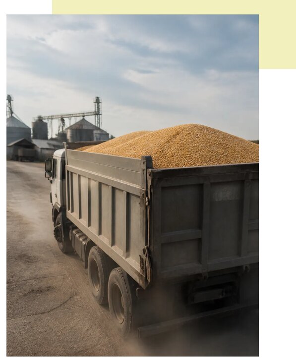 Перевозка сельхозпродукции навалом в Рубцовск по цене от 3034 р. | Агросервис-Рбц
